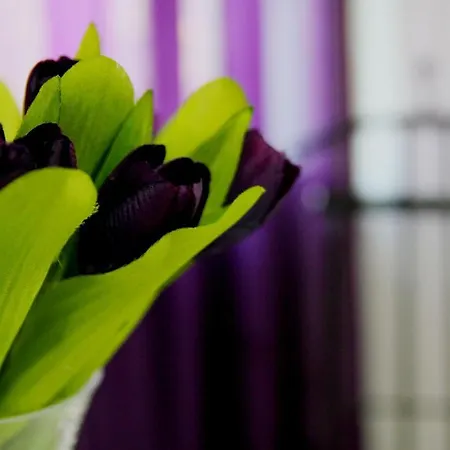 Mamma Lucia Prázdninový dům *