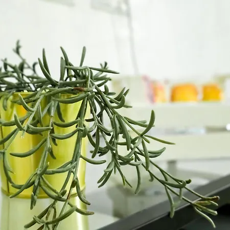 Дом отдыха Mamma Lucia