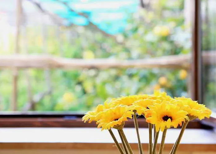 Mamma Lucia Półwysep Sorrentyński