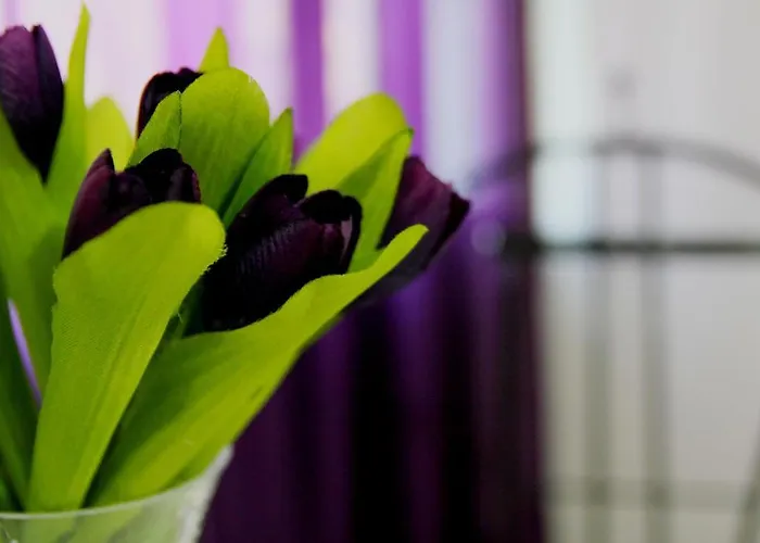 Mamma Lucia Dom wakacyjny *