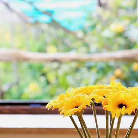 Mamma Lucia Sorrento