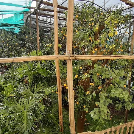 Feriehus Mamma Lucia *